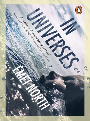 cover image of In Universes